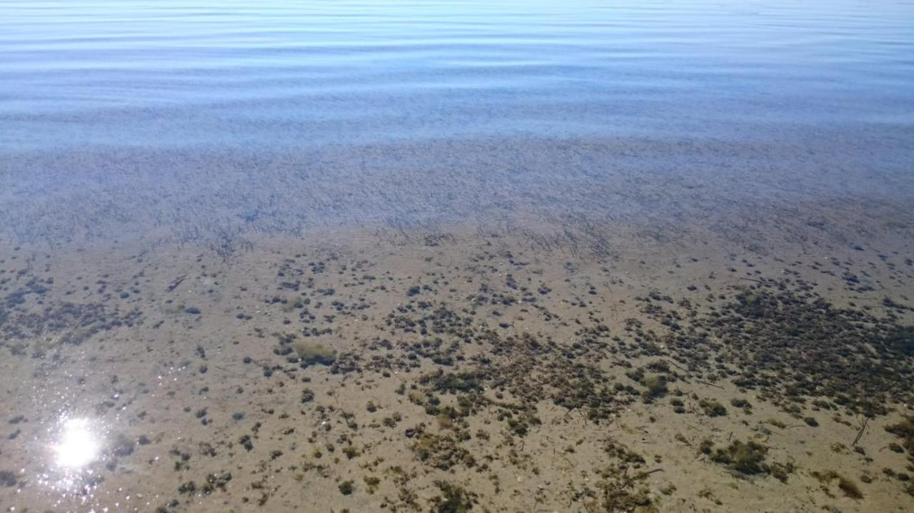 El Molino De Viento Flat Lägenhet San Pedro del Pinatar Exteriör bild